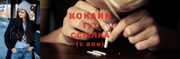 МДПВ Новозыбков