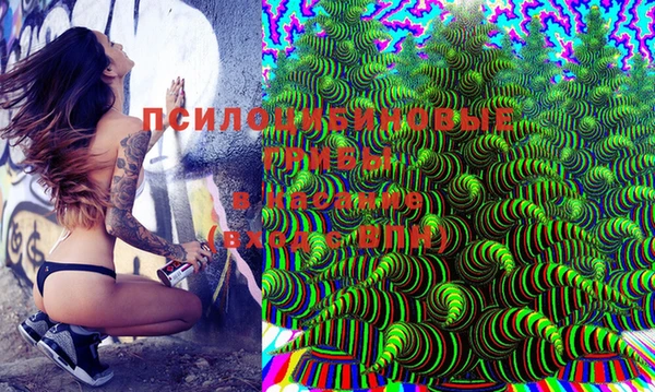 мдма Горняк