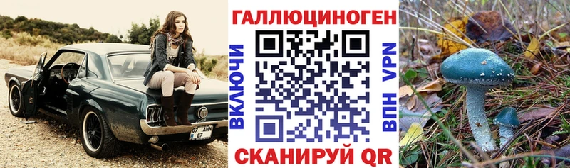 Галлюциногенные грибы GOLDEN TEACHER  Купить закладки  Касимов 